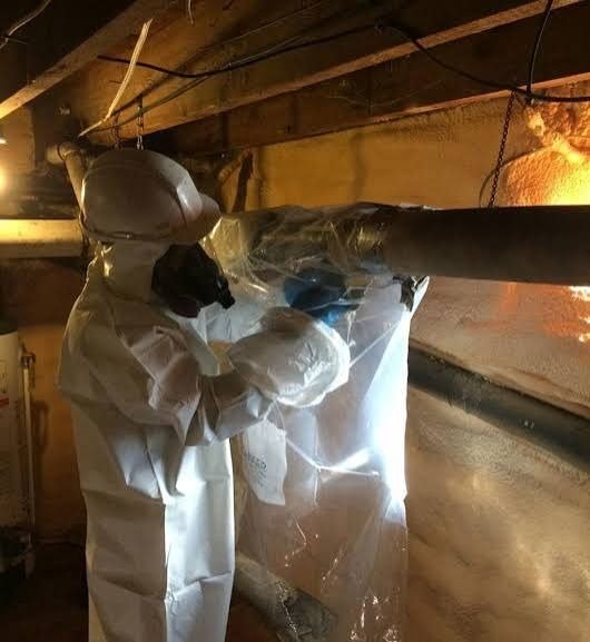 Asbestos project in Cambridge